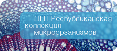 ДГП «Республиканская коллекция микроорганизмов»